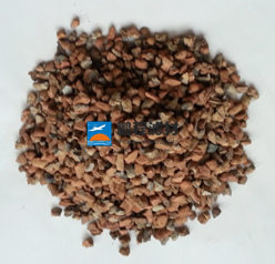 �o�a����퓎r�����V��